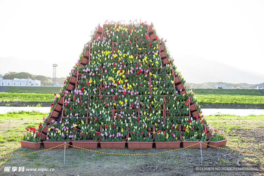 郁金香花展