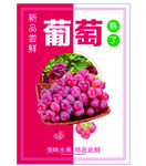 葡萄