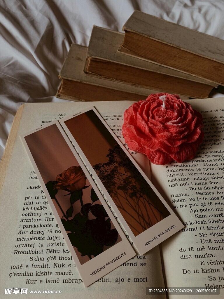 玫瑰