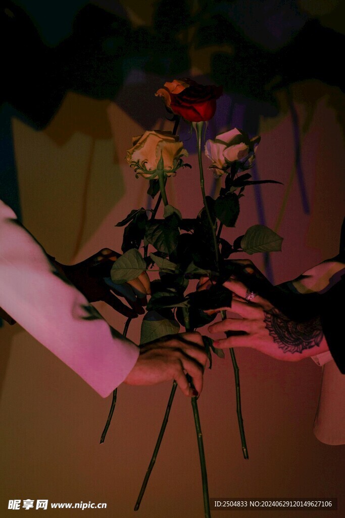 玫瑰