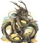 龙