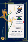 夏至海报