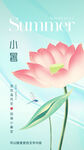 二十四节气小暑海报