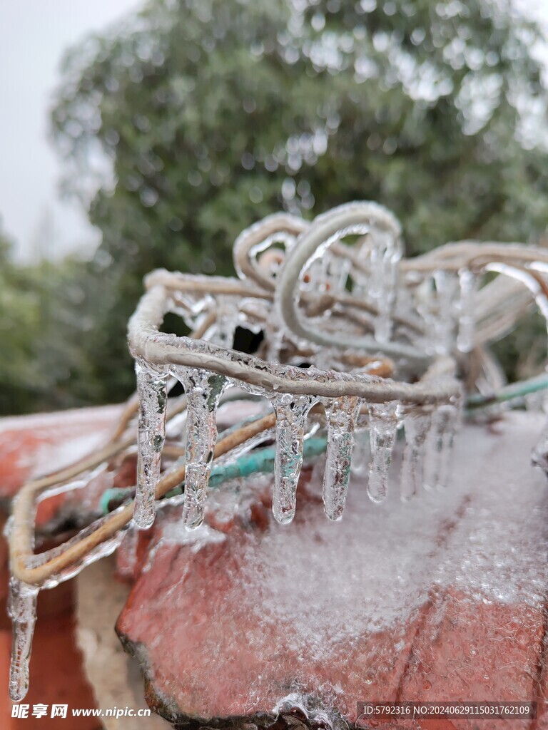 冻雨