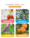 鲜果  
