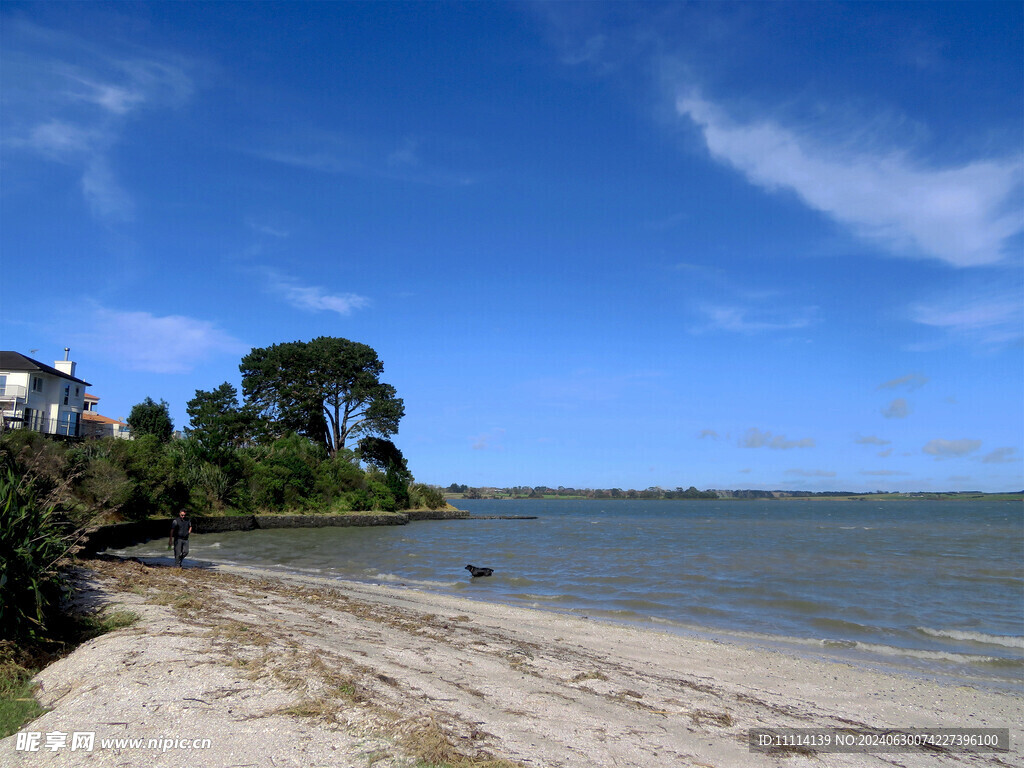 奥克兰海湾风景