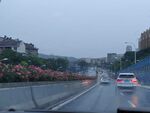 马路行驶汽车