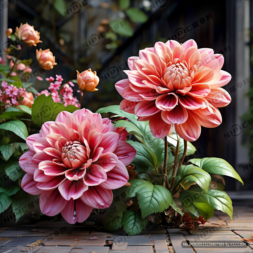 3D 大花