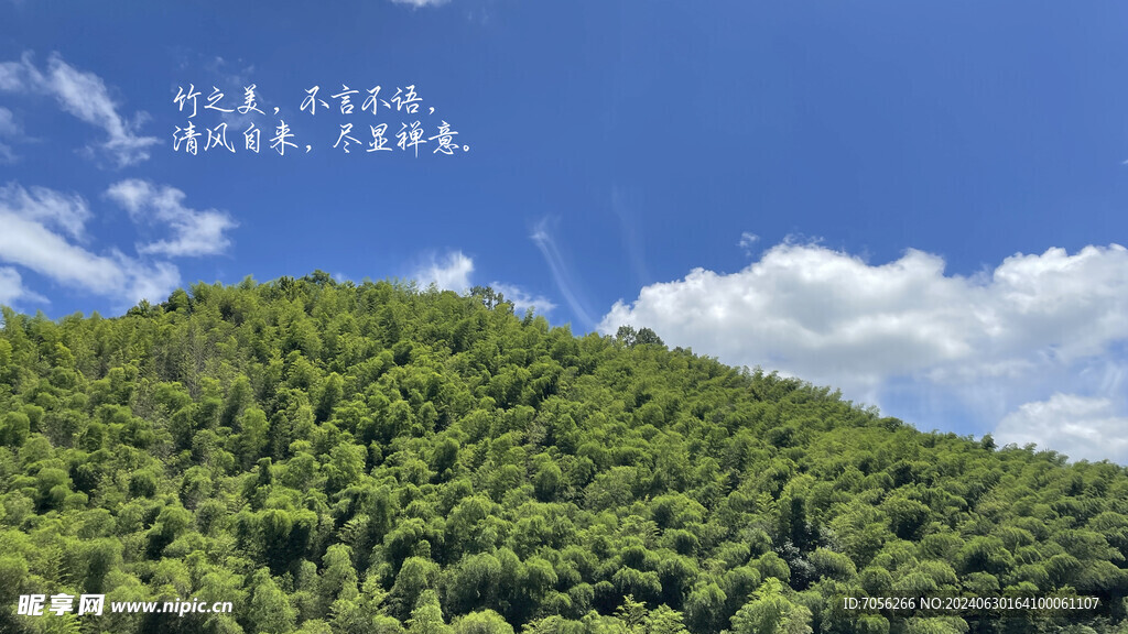 山   云  风景