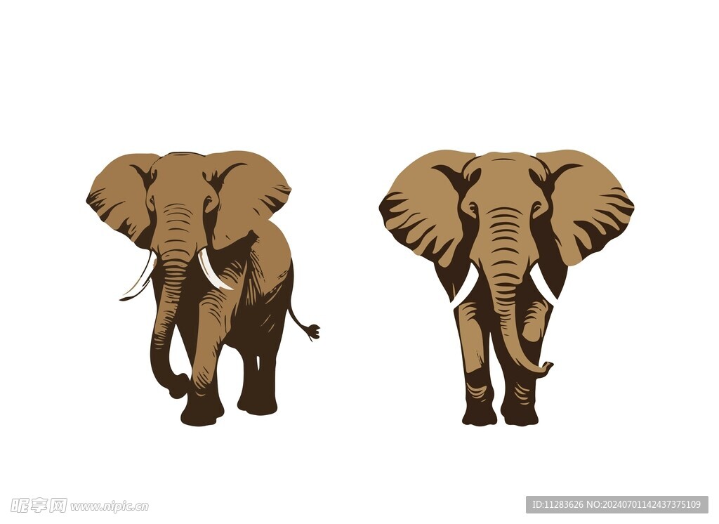 大象复古插画