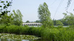 云龙湖风景 