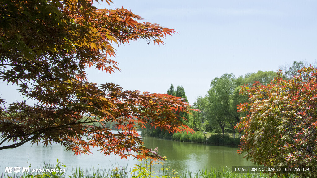 自然风景