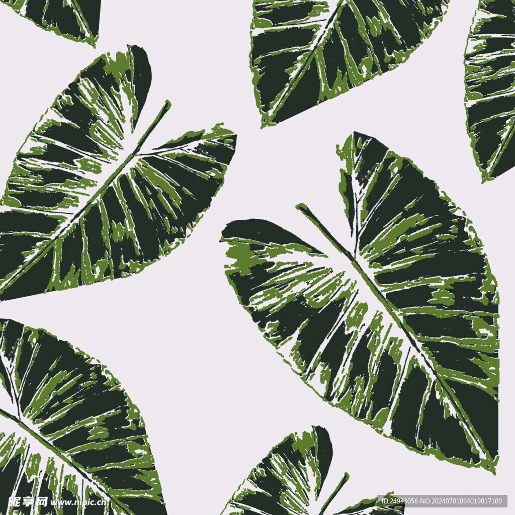 植物 叶子