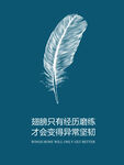 翅膀只有经历磨练
