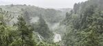 濛濛细雨下的山林
