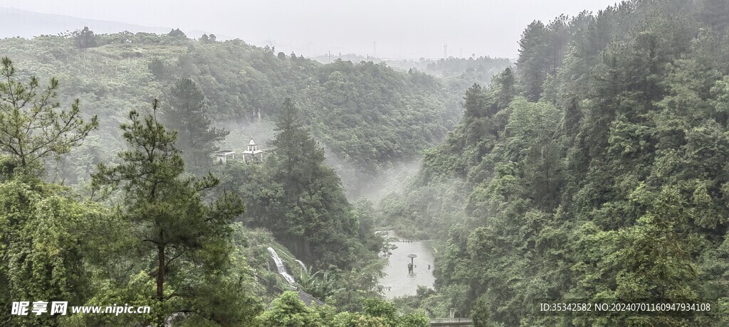 濛濛细雨下的山林