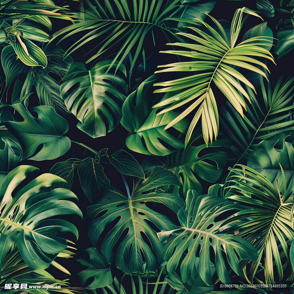 丛林图案树林森林背景