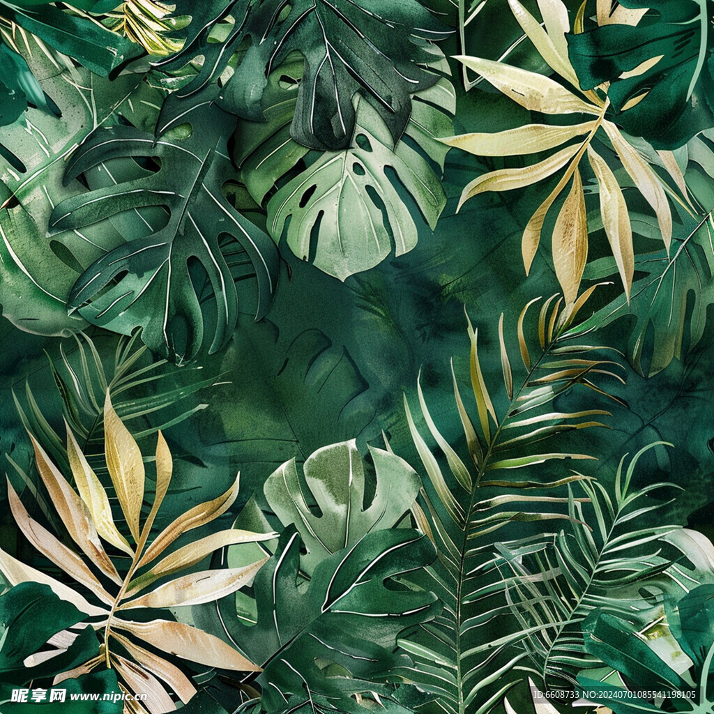 雨林丛林热带植物树叶背景