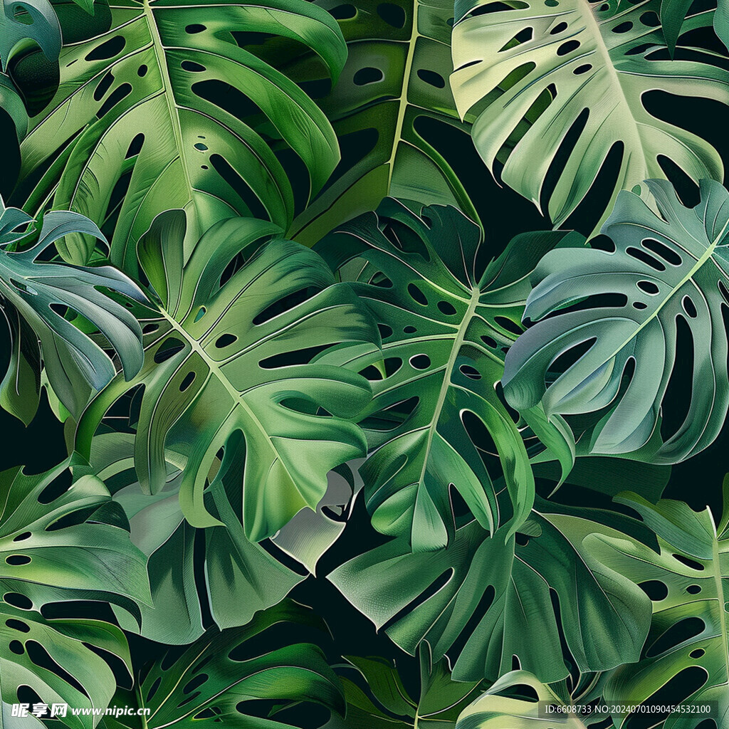 丛林图案树林森林背景
