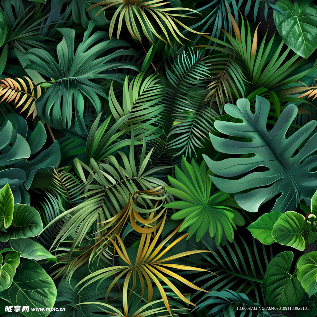 雨林丛林热带植物树叶背景