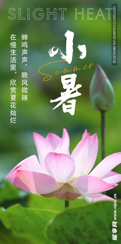 小暑海报