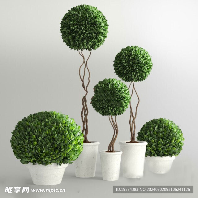 C4D模型 绿色植物