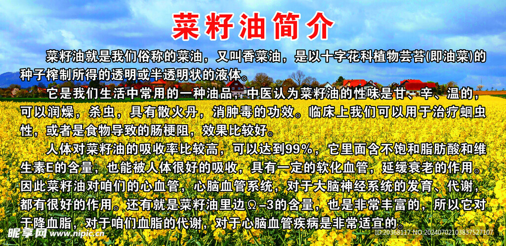 菜籽油简介