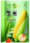 鲜食甜糯玉米