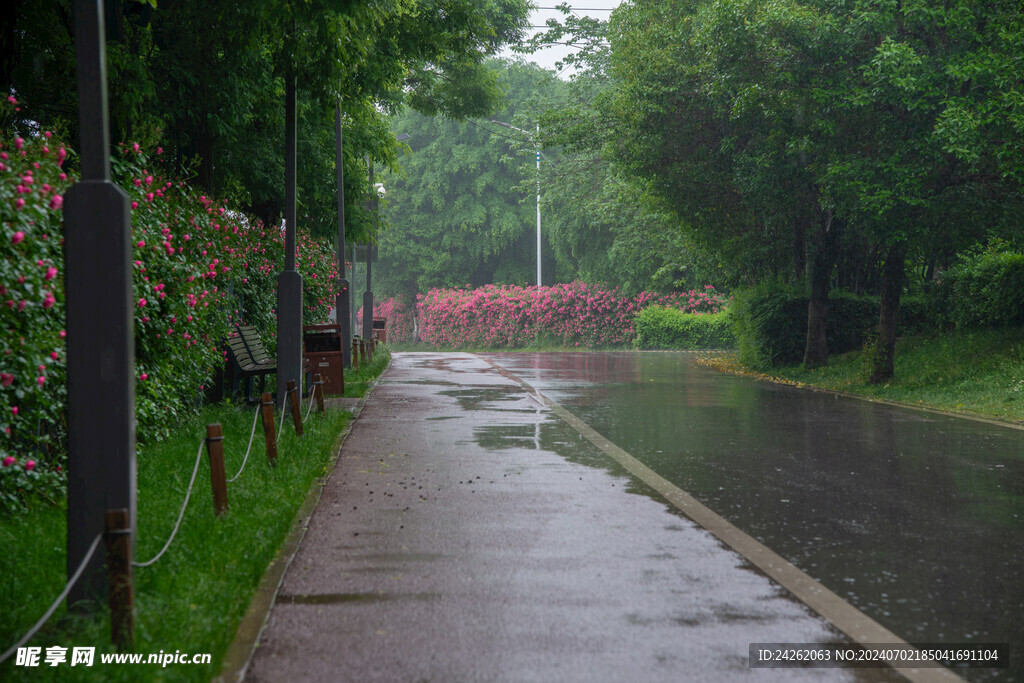 下雨的天气