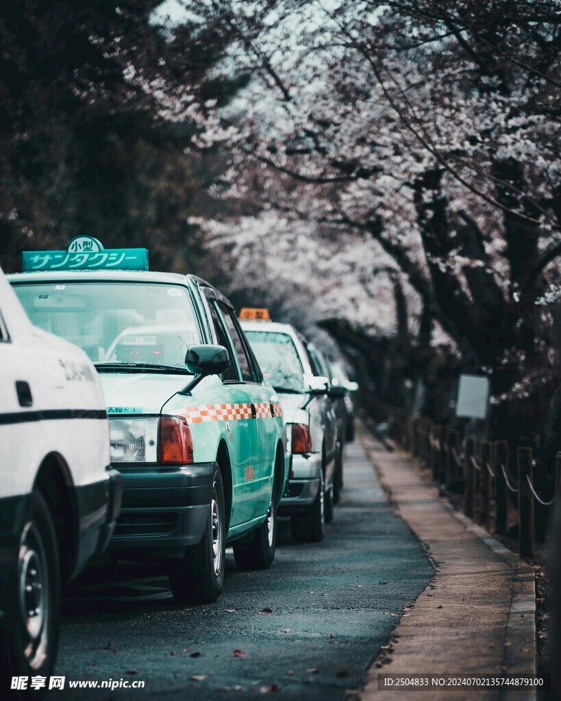 樱花