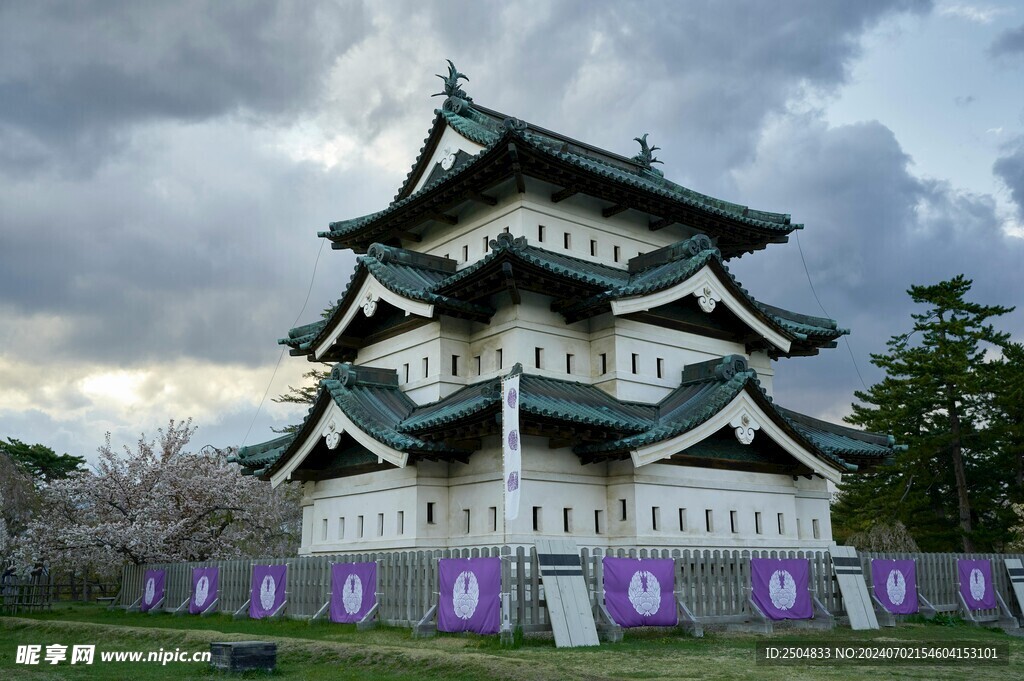 樱花