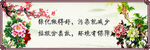 绿化做的好