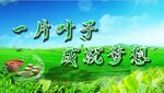 一片叶子成就梦想