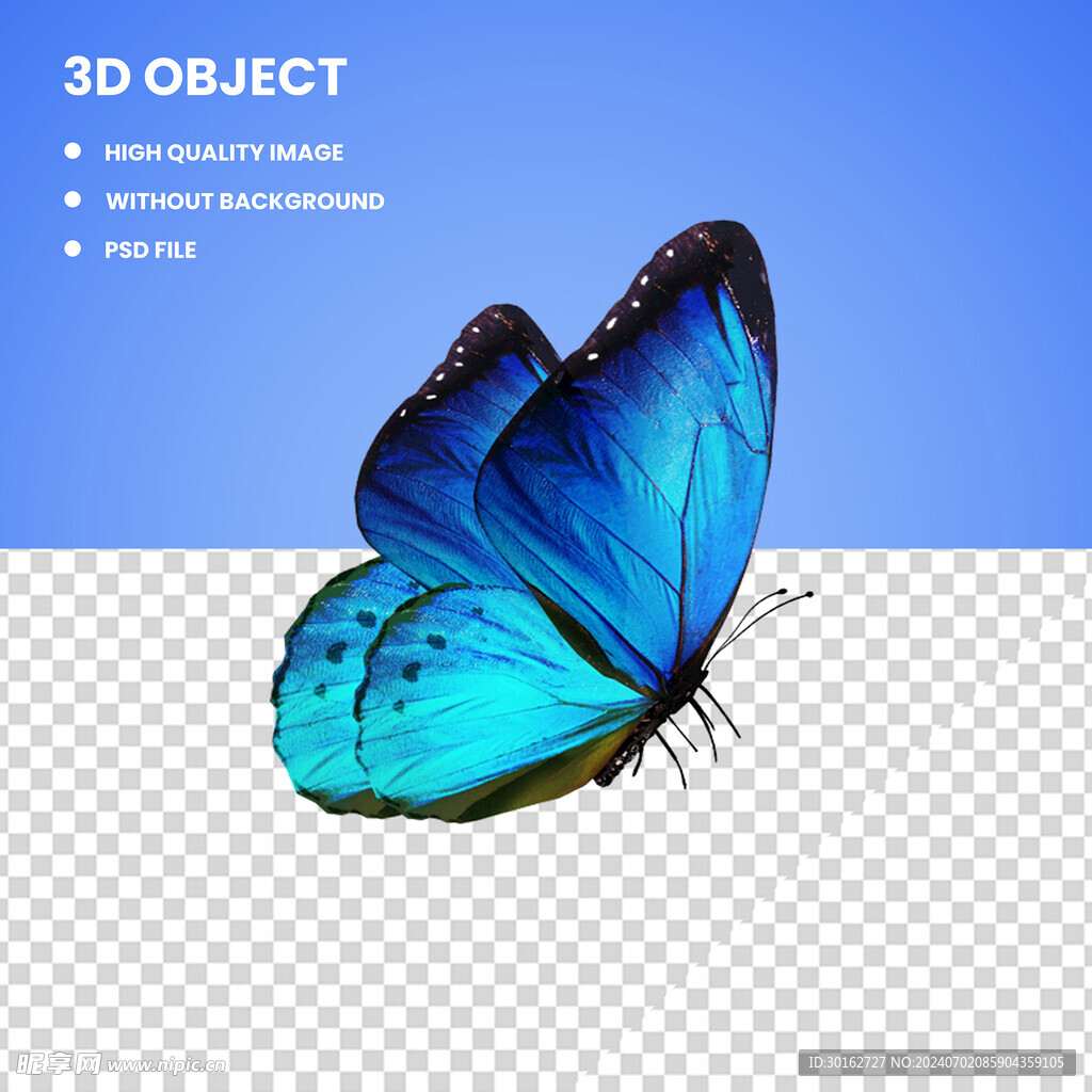 高清蝴蝶免抠图素材