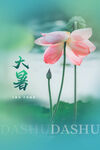 大暑节气海报
