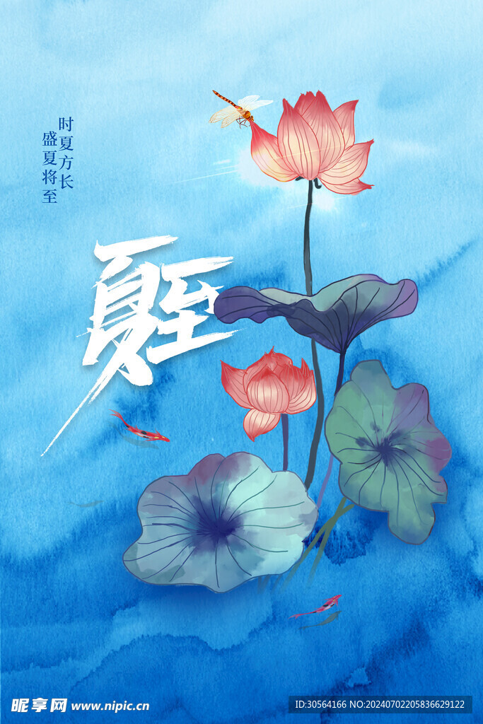 夏至节气海报