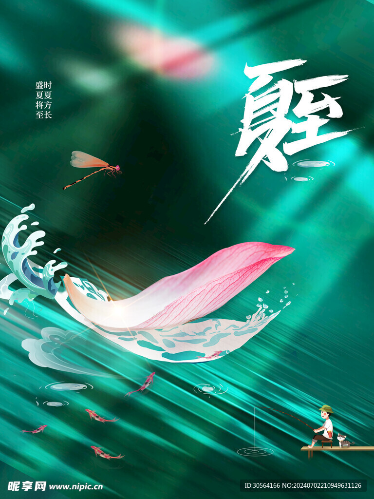 夏至节气海报