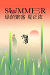 夏至节气海报