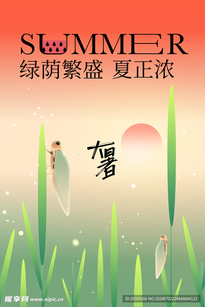 夏至节气海报