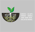 生根叶肥