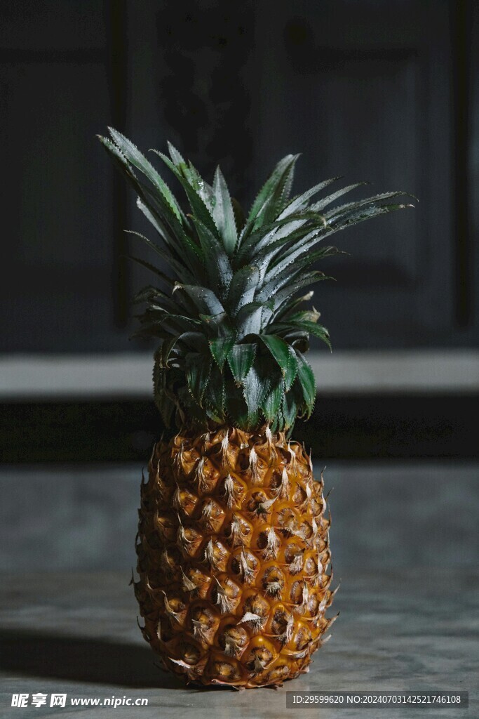 凤梨  