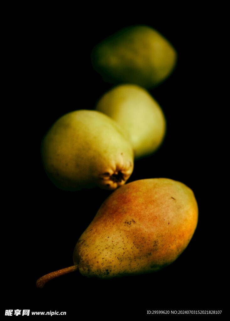 梨  