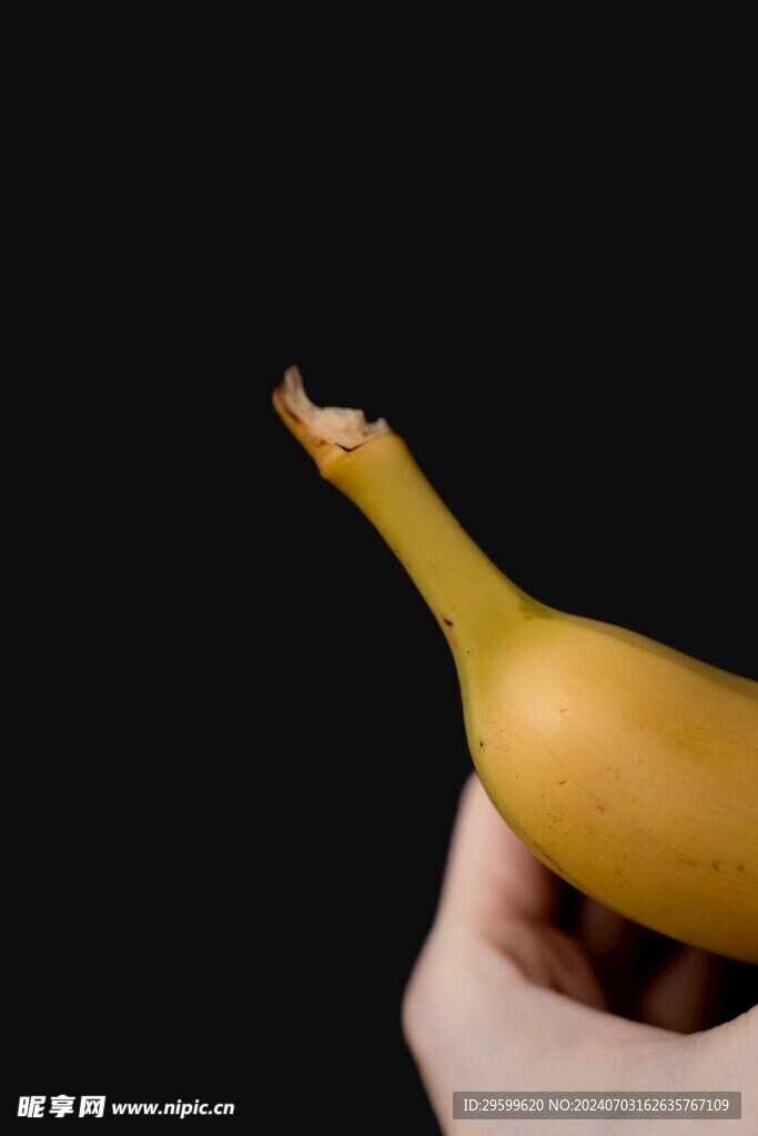 香蕉  