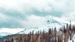 松林雪山