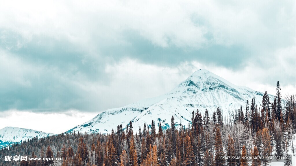 松林雪山