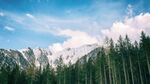 雪山峰松林