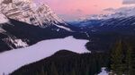 森林雪山