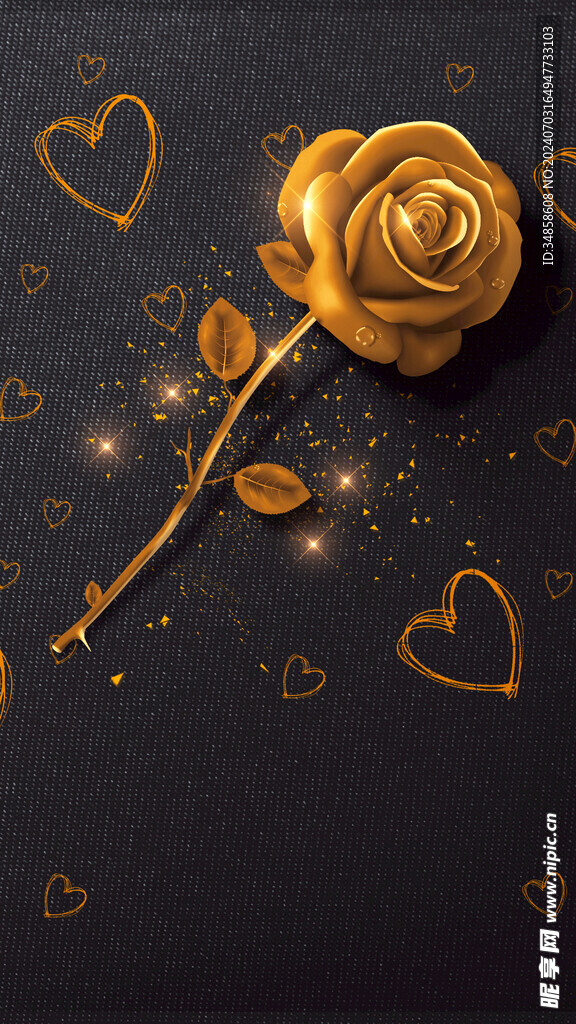玫瑰花图片