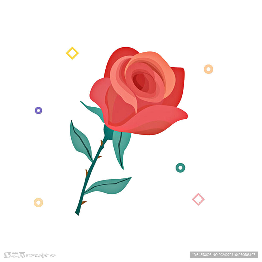 玫瑰花图片
