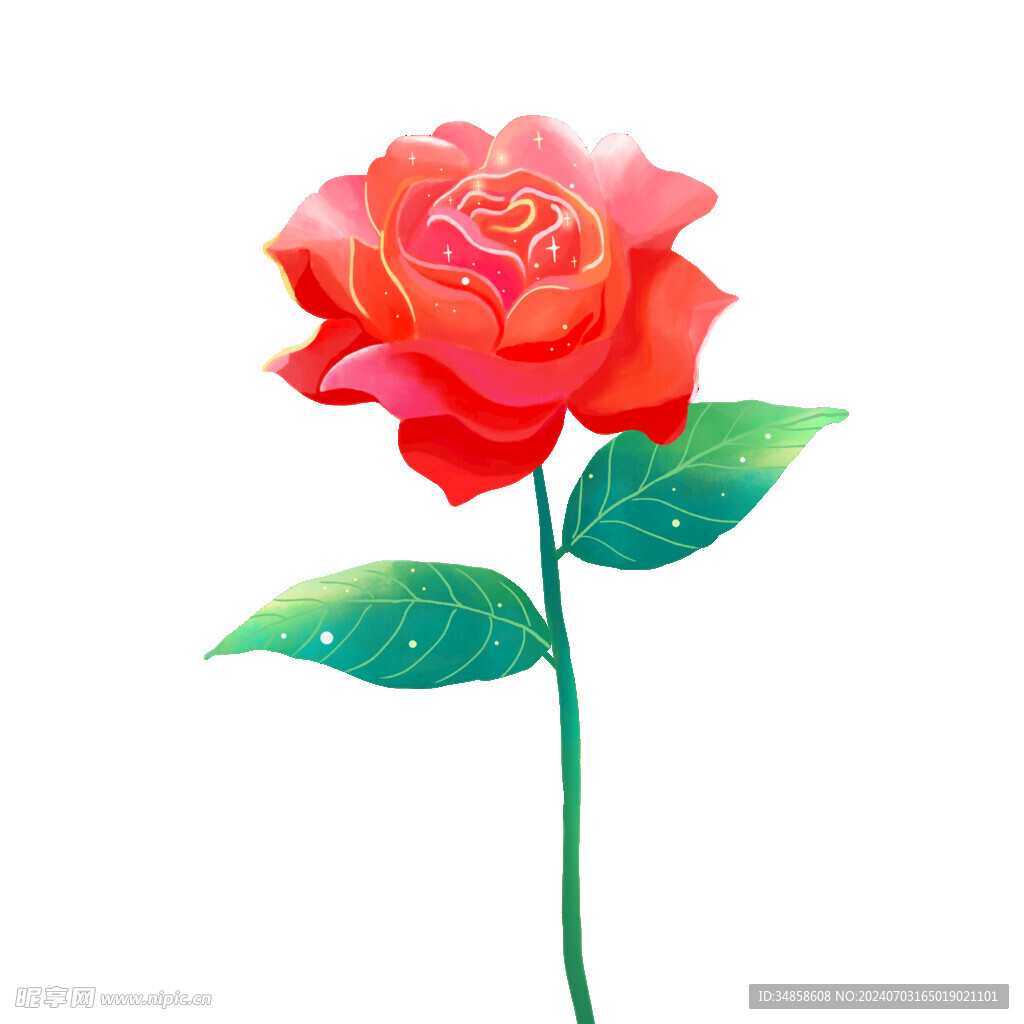 玫瑰花图片